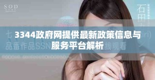 3344政府網提供最新政策信息與服務平臺解析