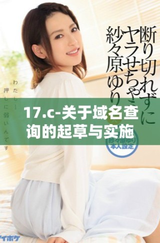 17.c-關于域名查詢的起草與實施方案探討