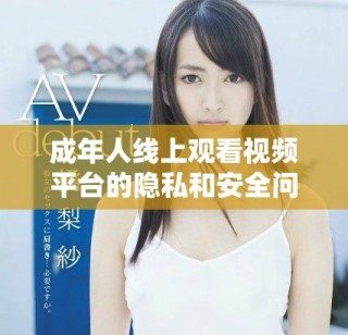 成年人線上觀看視頻平臺的隱私和安全問題解析