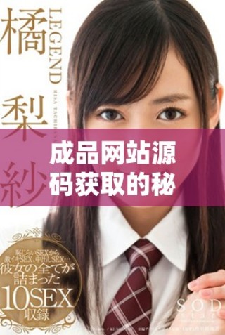 成品網站源碼獲取的秘密入口與隱藏技巧解析