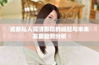 成都私人高清影院的崛起與未來發展趨勢分析