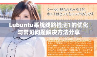 Lubuntu系統線路檢測1的優化與常見問題解決方法分享