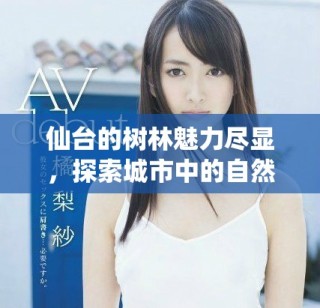 仙臺的樹林魅力盡顯，探索城市中的自然綠意與寧靜之美