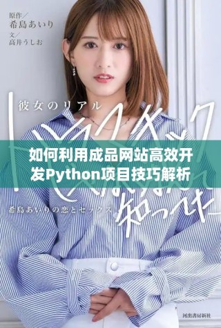 如何利用成品網站高效開發Python項目技巧解析