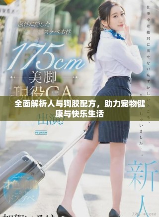 全面解析人與狗膠配方，助力寵物健康與快樂生活