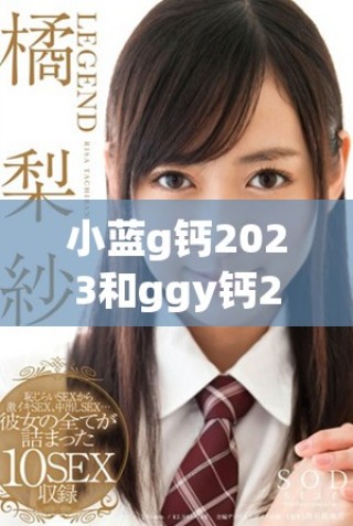 小藍g鈣2023和ggy鈣2023的強大功能與應(yīng)用探討