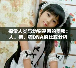探索人類與動(dòng)物基因的奧秘：人、豬、狗DNA的比較分析