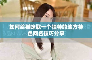 如何給貓咪取一個獨特的地方特色網名技巧分享