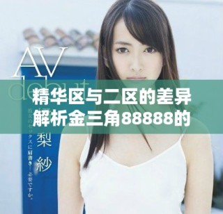 精華區與二區的差異解析金三角88888的獨特魅力探究
