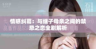 情感糾葛：與繼子母親之間的禁忌之戀全劇解析