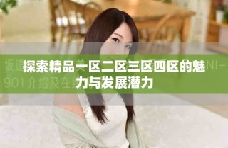 探索精品一區二區三區四區的魅力與發展潛力