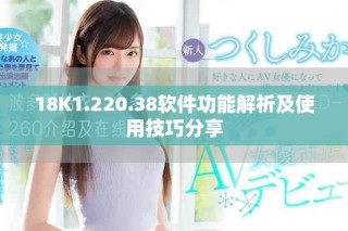 18K1.220.38軟件功能解析及使用技巧分享