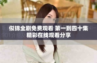 似錦全劇免費觀看 第一到四十集精彩在線觀看分享