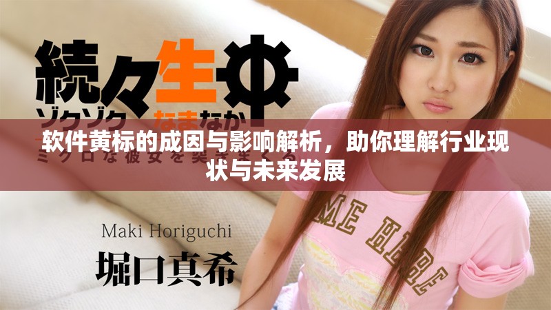 軟件黃標(biāo)的成因與影響解析，助你理解行業(yè)現(xiàn)狀與未來發(fā)展