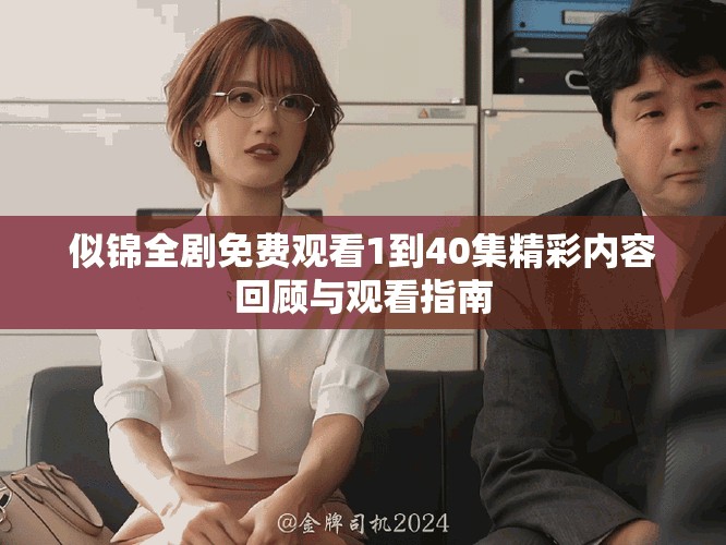 似錦全劇免費觀看1到40集精彩內容回顧與觀看指南