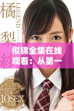 似錦全集在線觀看：從第一集到第四十集精彩回顧
