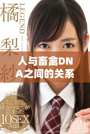 人與畜禽DNA之間的關系及其科學探究方法