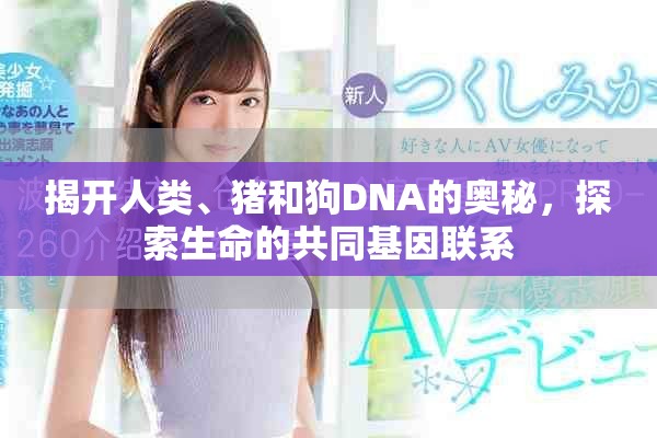 揭開人類、豬和狗DNA的奧秘，探索生命的共同基因聯系