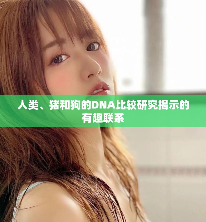 人類、豬和狗的DNA比較研究揭示的有趣聯系