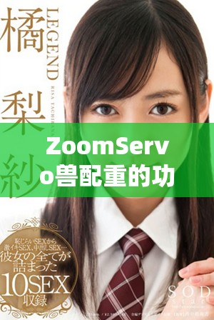 ZoomServo獸配重的功能與應用解析探討