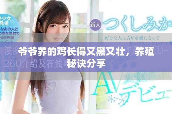爺爺養的雞長得又黑又壯，養殖秘訣分享