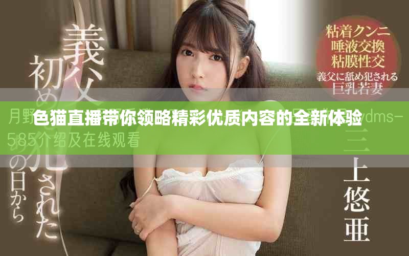 色貓直播帶你領略精彩優質內容的全新體驗       