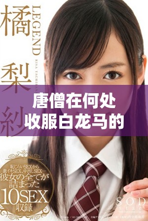 唐僧在何處收服白龍馬的傳奇故事及其背后意義解析