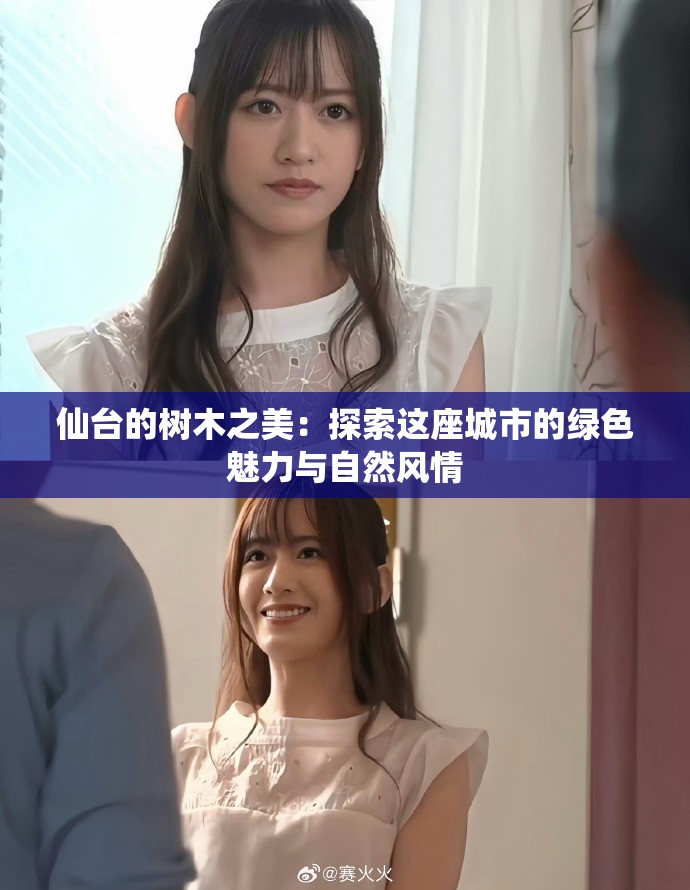 仙臺的樹木之美：探索這座城市的綠色魅力與自然風情