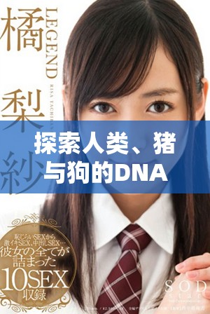 探索人類、豬與狗的DNA奇妙關系視頻解析與比較