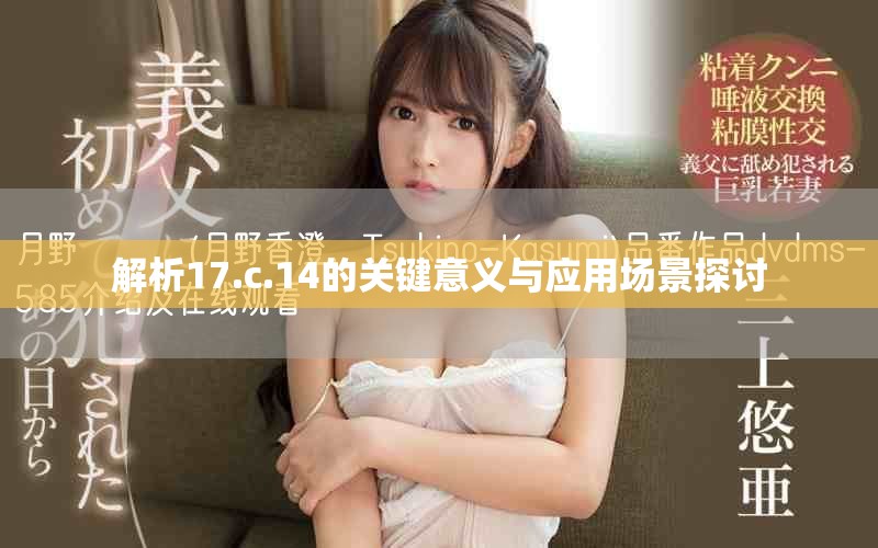 解析17.c.14的關鍵意義與應用場景探討