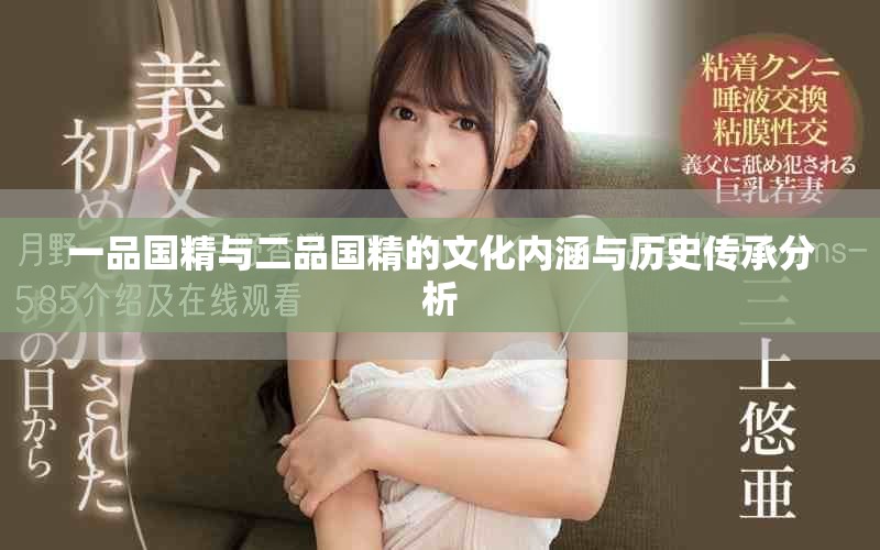 一品國精與二品國精的文化內(nèi)涵與歷史傳承分析
