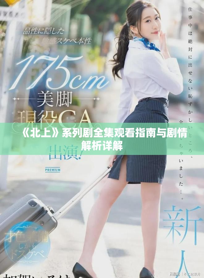 《北上》系列劇全集觀看指南與劇情解析詳解