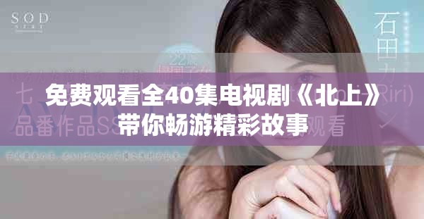 免費(fèi)觀看全40集電視劇《北上》帶你暢游精彩故事