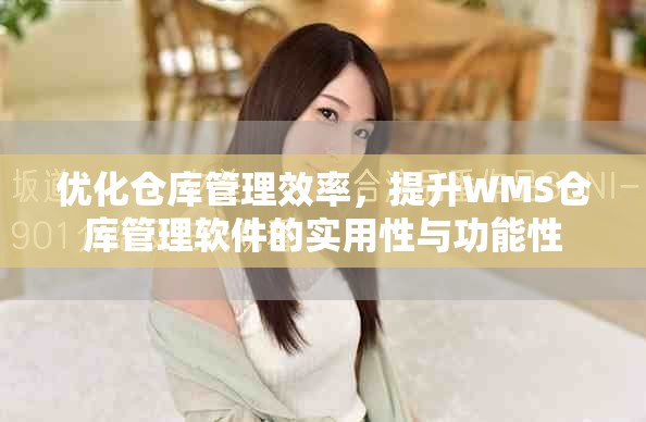 優化倉庫管理效率，提升WMS倉庫管理軟件的實用性與功能性