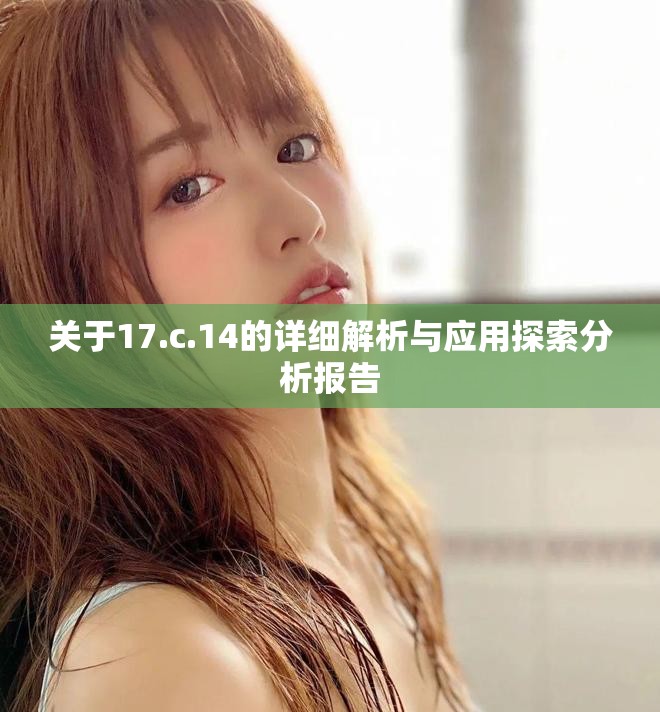 關(guān)于17.c.14的詳細(xì)解析與應(yīng)用探索分析報告