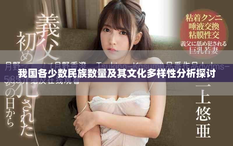 我國(guó)各少數(shù)民族數(shù)量及其文化多樣性分析探討