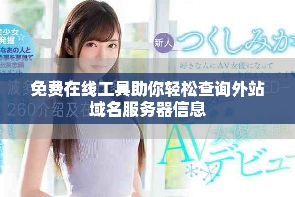 免費在線工具助你輕松查詢外站域名服務器信息