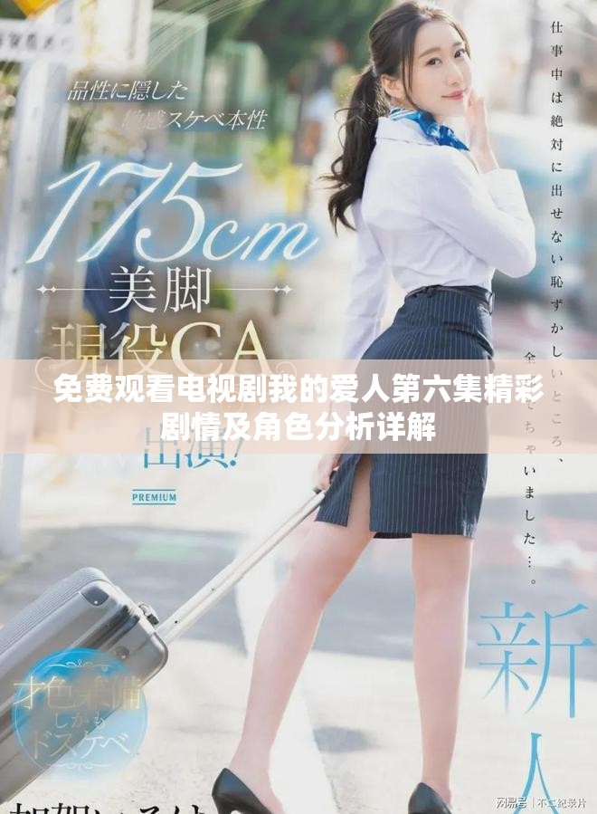 免費觀看電視劇我的愛人第六集精彩劇情及角色分析詳解