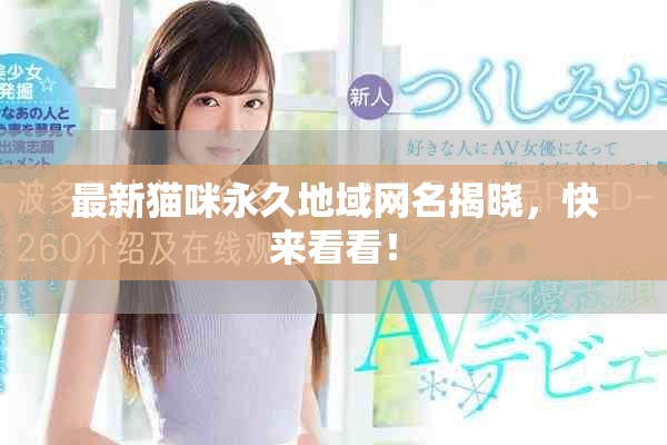 最新貓咪永久地域網名揭曉，快來看看！