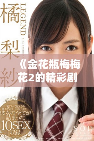 《金花瓶梅梅花2的精彩劇情與角色解析一探究竟》