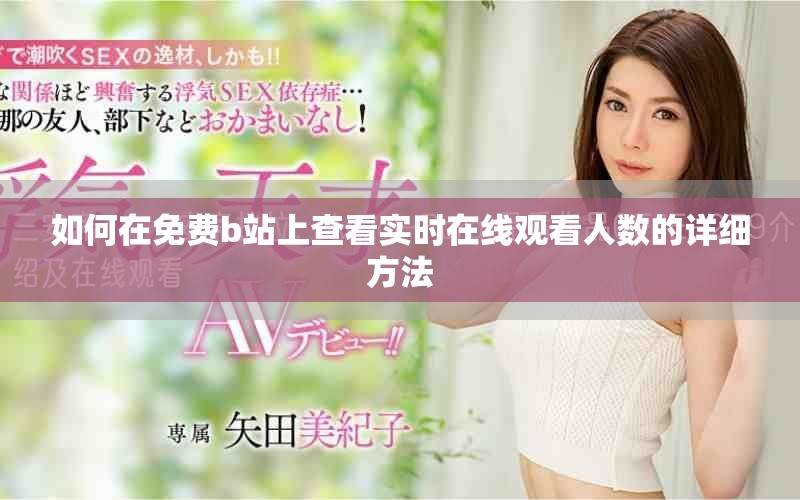 如何在免費b站上查看實時在線觀看人數的詳細方法