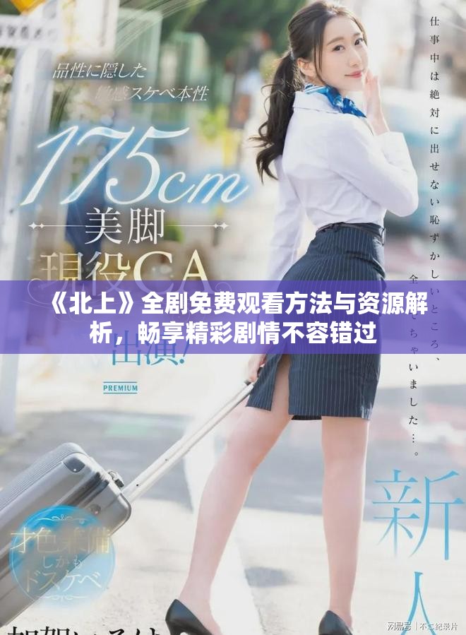 《北上》全劇免費觀看方法與資源解析，暢享精彩劇情不容錯過