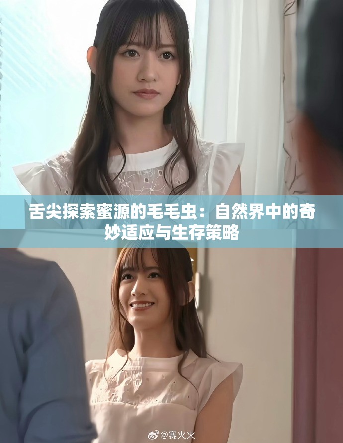 舌尖探索蜜源的毛毛蟲：自然界中的奇妙適應(yīng)與生存策略