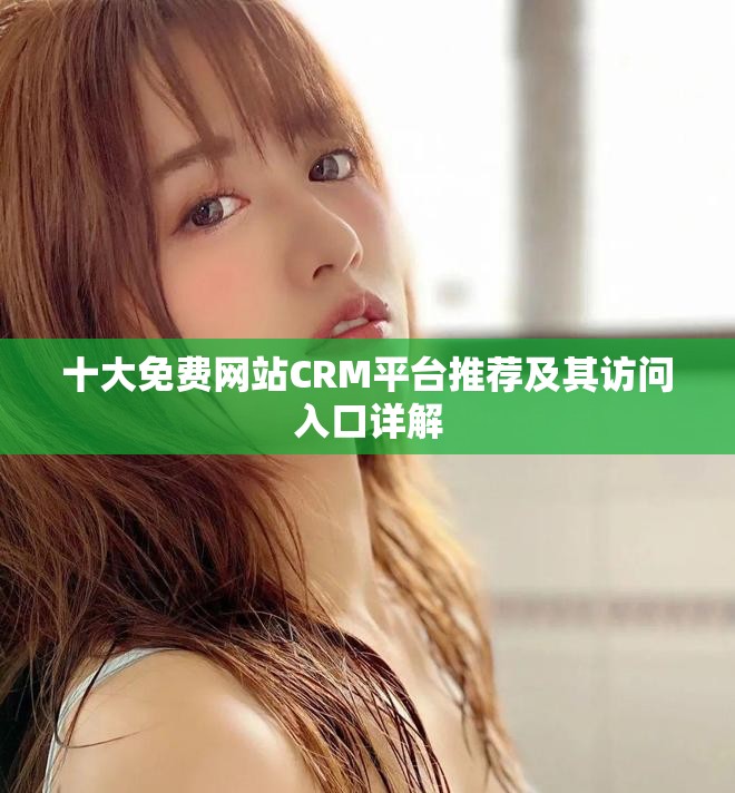 十大免費網站CRM平臺推薦及其訪問入口詳解