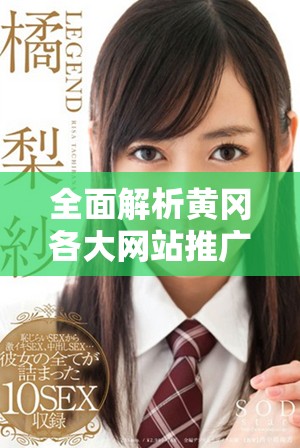 全面解析黃岡各大網(wǎng)站推廣平臺入口網(wǎng)址合集