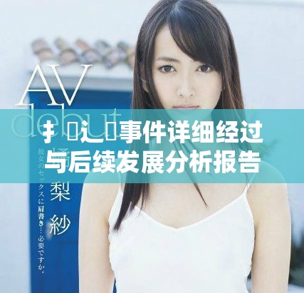 扌喿辶畐事件詳細經過與后續發展分析報告
