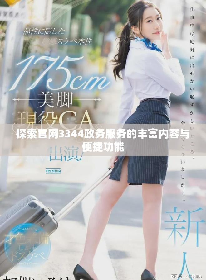 探索官網3344政務服務的豐富內容與便捷功能