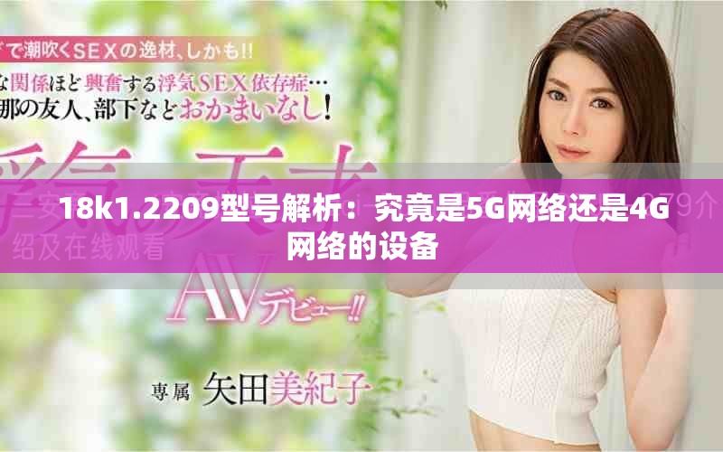 18k1.2209型號(hào)解析：究竟是5G網(wǎng)絡(luò)還是4G網(wǎng)絡(luò)的設(shè)備