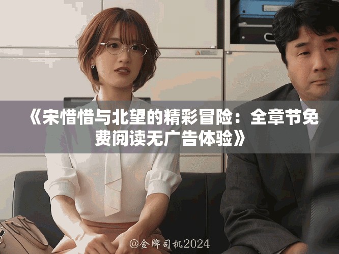 《宋惜惜與北望的精彩冒險：全章節免費閱讀無廣告體驗》