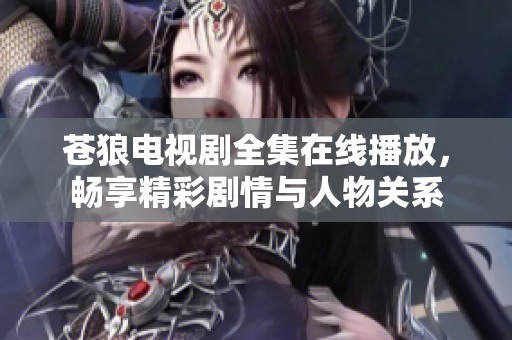 蒼狼電視劇全集在線播放，暢享精彩劇情與人物關系